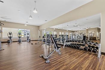 A gym with weights and a mirror on the wall